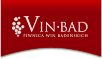 logo vinbad